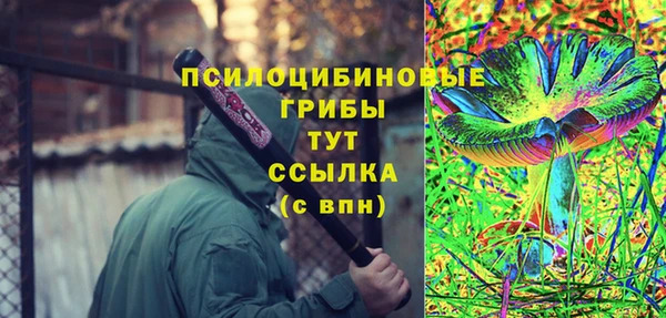 спайс Медногорск