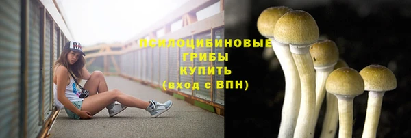 герыч Мегион