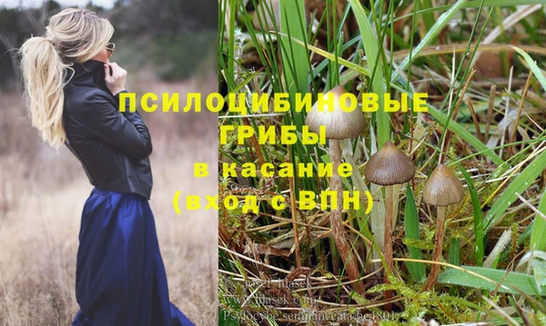 герыч Мегион