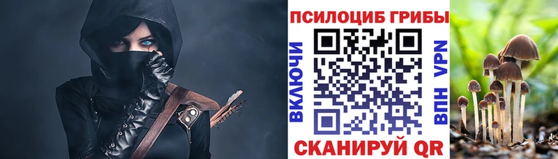купить наркотики цена  ОМГ ОМГ сайт  Псилоцибиновые грибы Cubensis  Багратионовск 